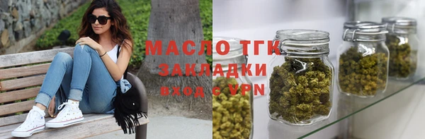 индика Богородицк