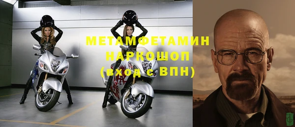индика Богородицк