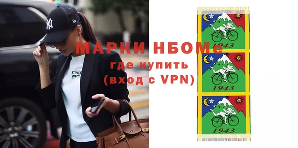 индика Богородицк