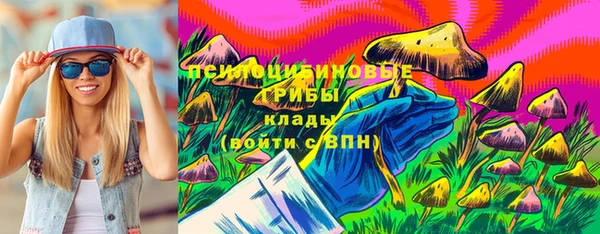 a pvp Богородск