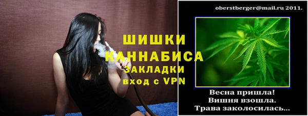 индика Богородицк