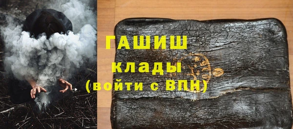 индика Богородицк