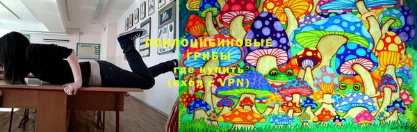 индика Богородицк