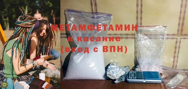 индика Богородицк