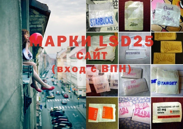 индика Богородицк