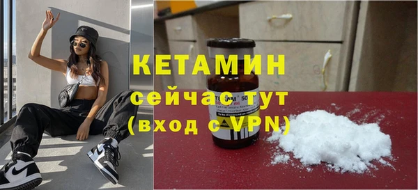индика Богородицк