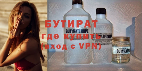 индика Богородицк