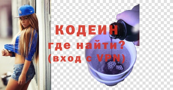 индика Богородицк