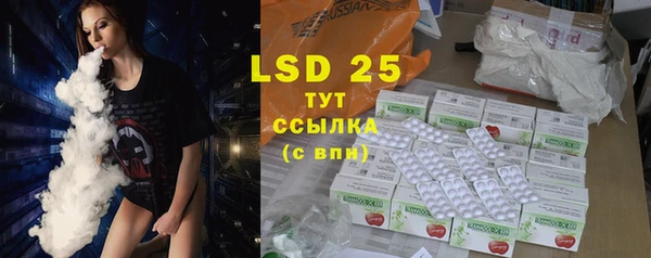индика Богородицк