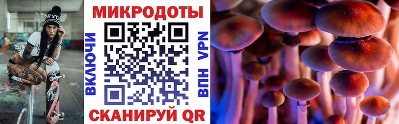 Галлюциногенные грибы мухоморы  Купить закладки  Североуральск 